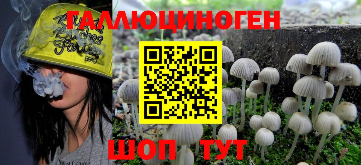Псилоцибиновые грибы прущие грибы Донецк