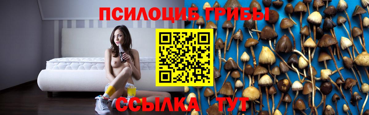 Донецк  Галлюциногенные грибы GOLDEN TEACHER  цены   Вход с VPN 